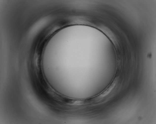 X0000102851438200809021350