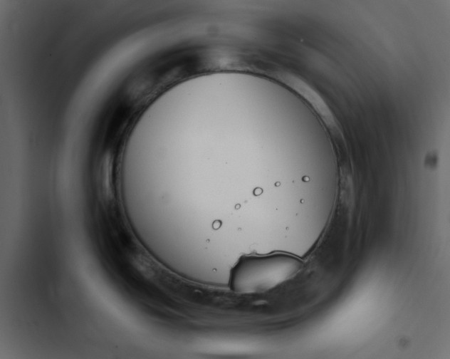 X0000102851439200809021350