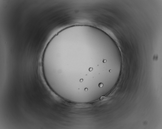 X0000102851440200809021350