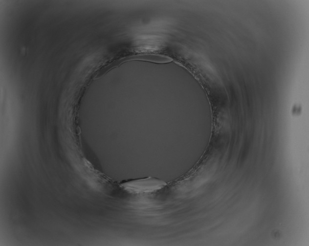 X0000102851441200809021350