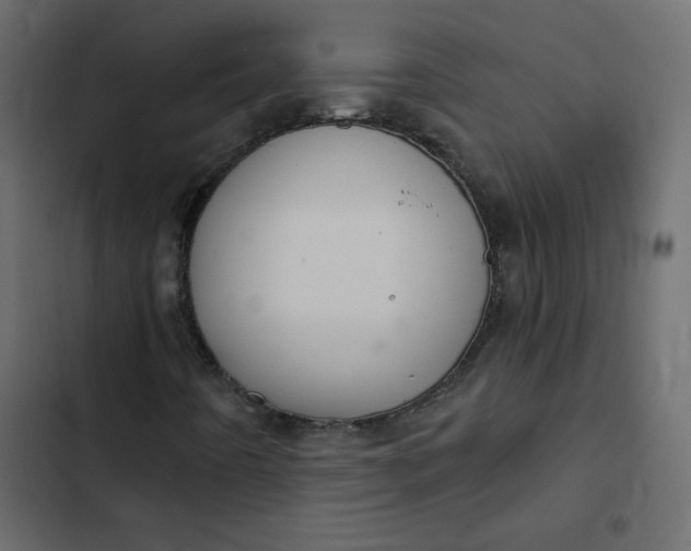 X0000102851442200809021350