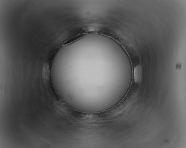 X0000102851443200809021350