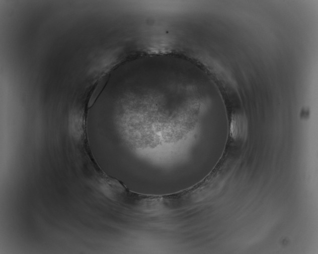 X0000102851444200809021350