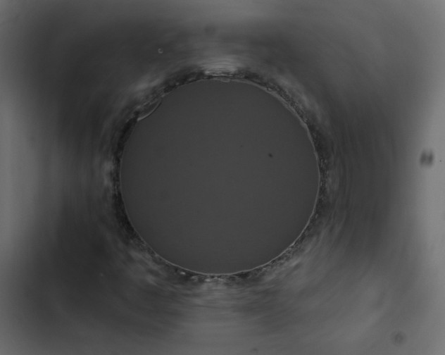 X0000102851445200809021350