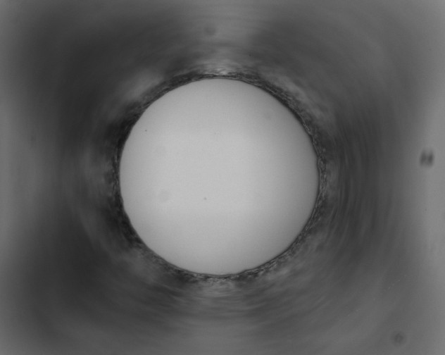 X0000102851446200809021350