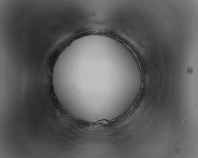 X0000102851447200809021350