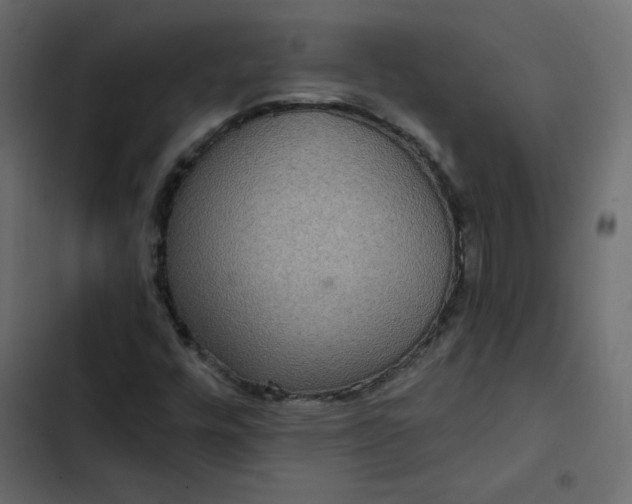 X0000102851448200809021350