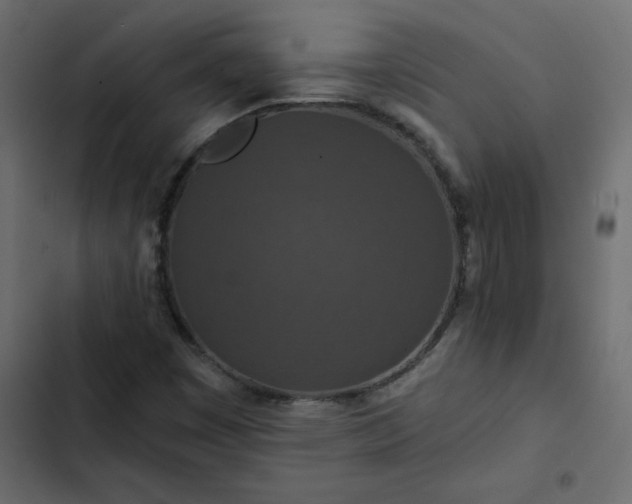 X0000102851449200809021350