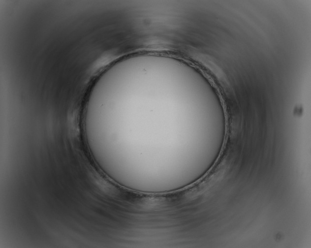 X0000102851451200809021349