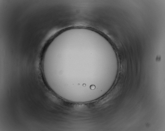 X0000102851454200809021349