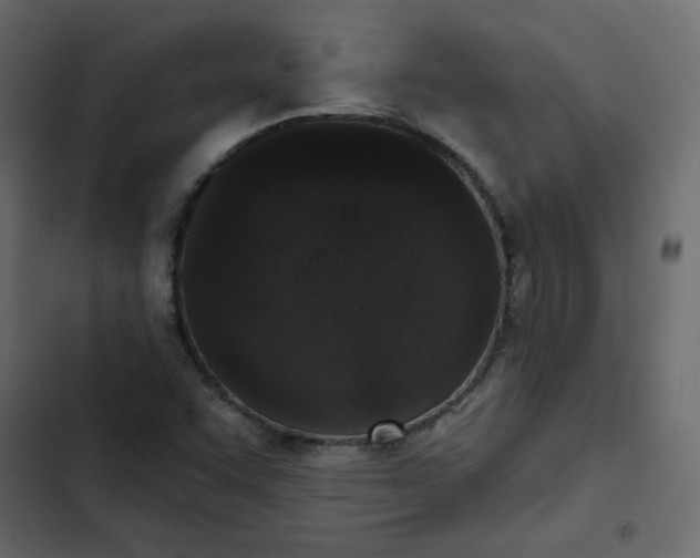 X0000102851455200809021349