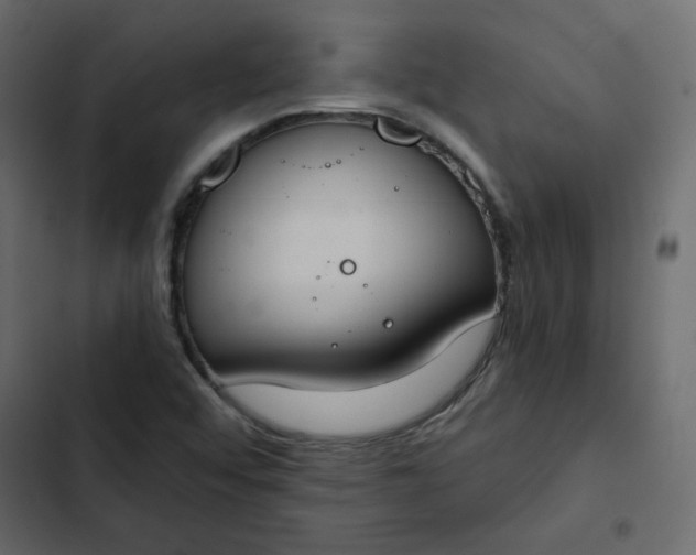 X0000102851456200809021349