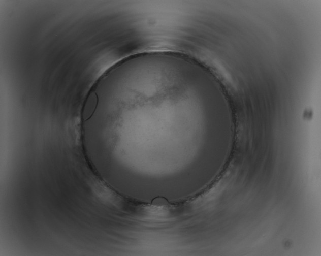 X0000102851457200809021349