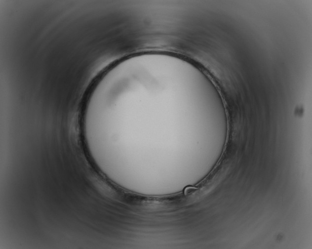 X0000102851458200809021349