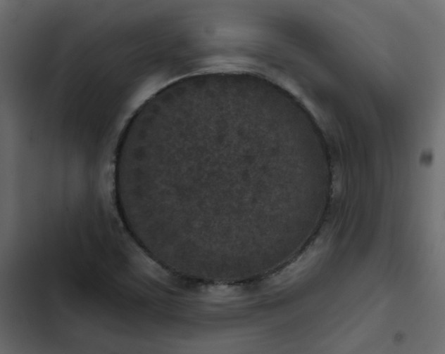 X0000102851459200809021349