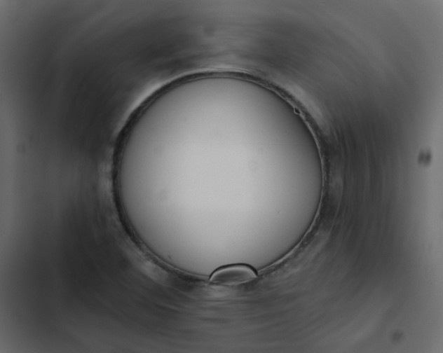 X0000102851460200809021349