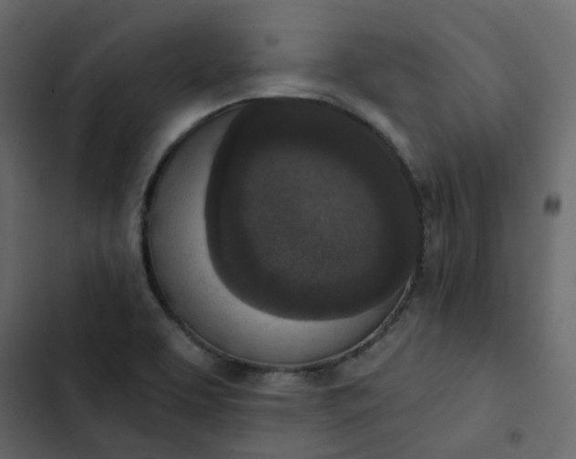 X0000102851463200809021349