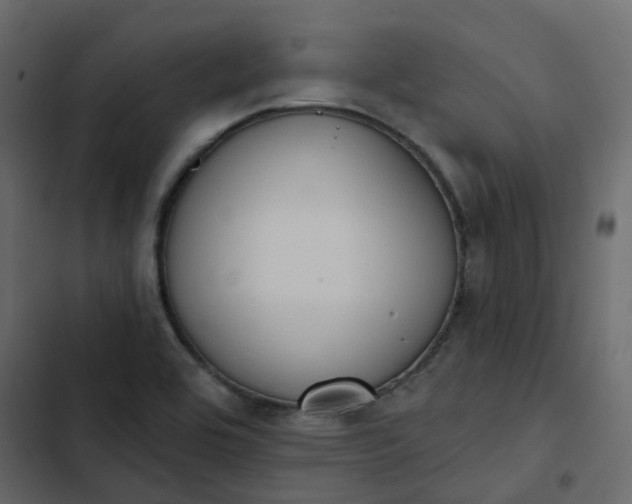 X0000102851464200809021349