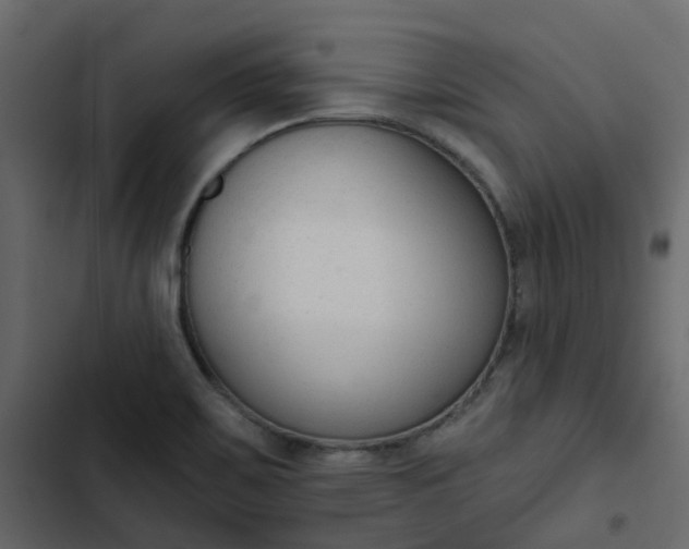 X0000102851467200809021349