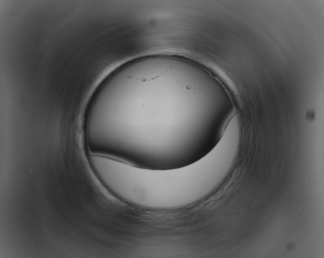 X0000102851468200809021349