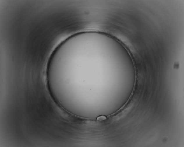 X0000102851469200809021349