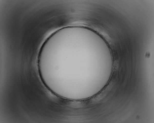 X0000102851470200809021349