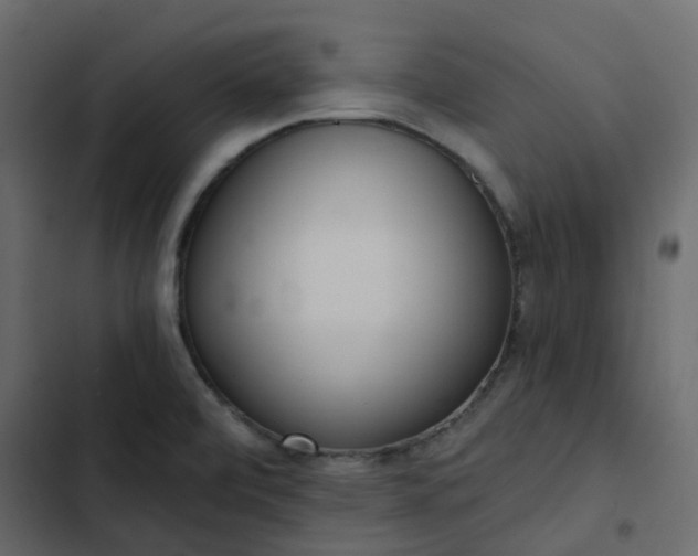 X0000102851472200809021349