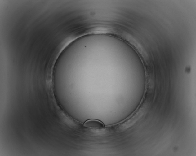 X0000102851473200809021349