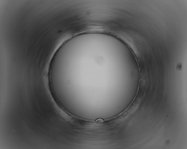 X0000102851475200809021349