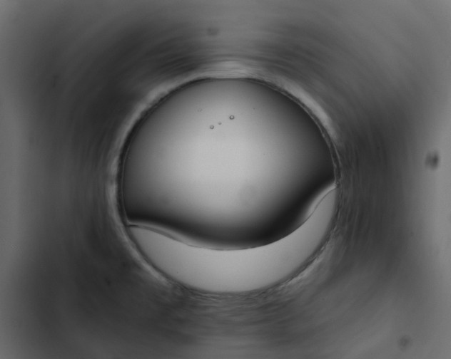 X0000102851477200809021349