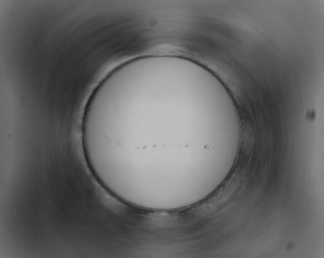 X0000102851478200809021349