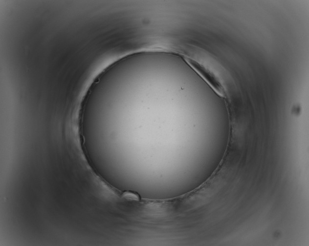 X0000102851480200809021349