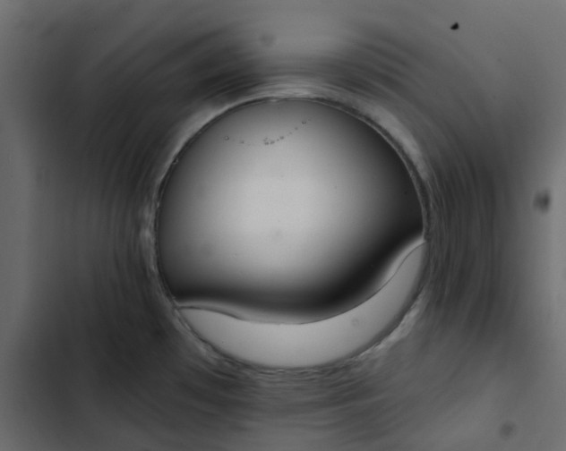 X0000102851481200809021349