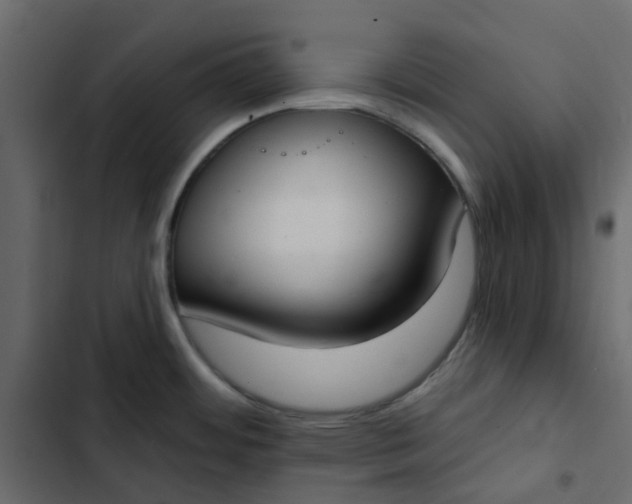 X0000102851484200809021349