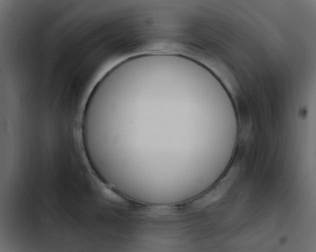 X0000102851486200809021349