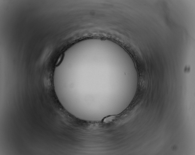 X0000102851490200809021348