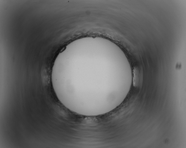 X0000102851491200809021348