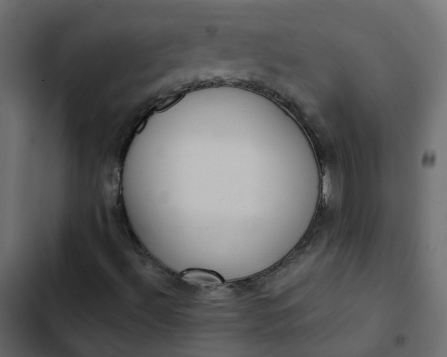 X0000102851492200809021348