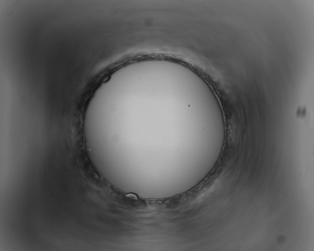 X0000102851494200809021348