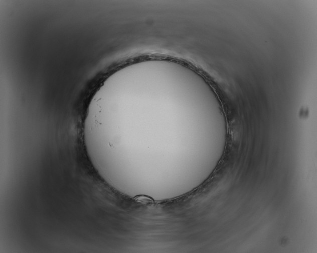 X0000102851495200809021348