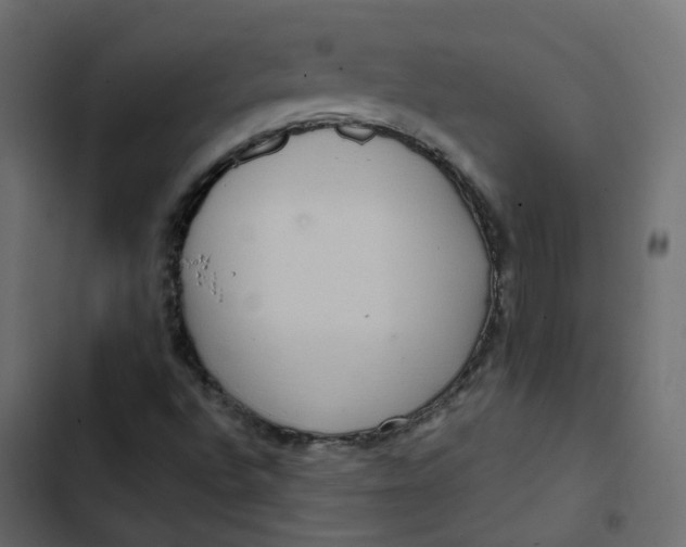 X0000102851496200809021348