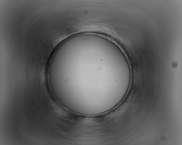 X0000102851497200809021348