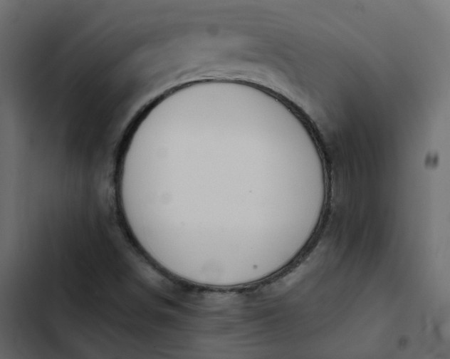 X0000102851498200809021348