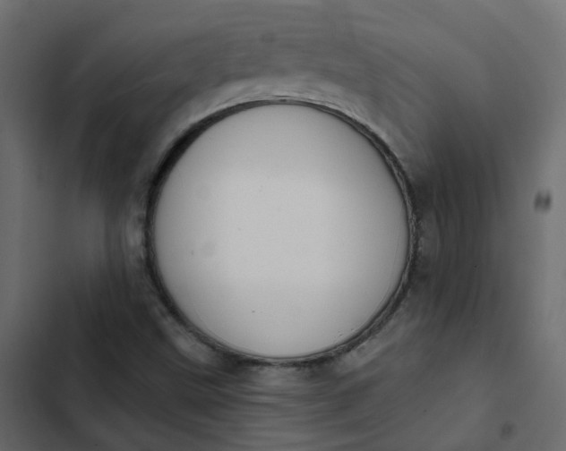 X0000102851499200809021348