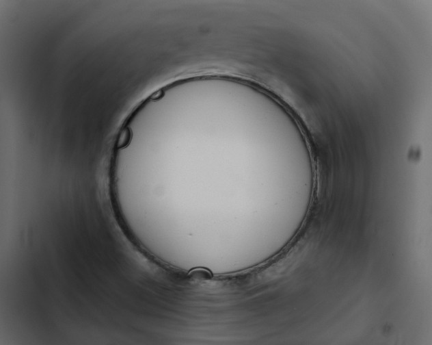 X0000102851500200809021348