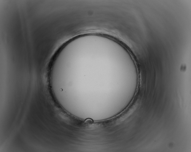 X0000102851501200809021348