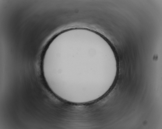 X0000102851502200809021348