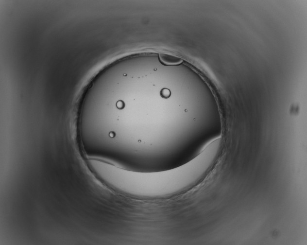 X0000102851504200809021348