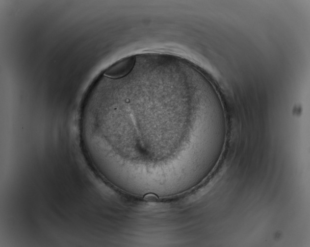 X0000102851506200809021348