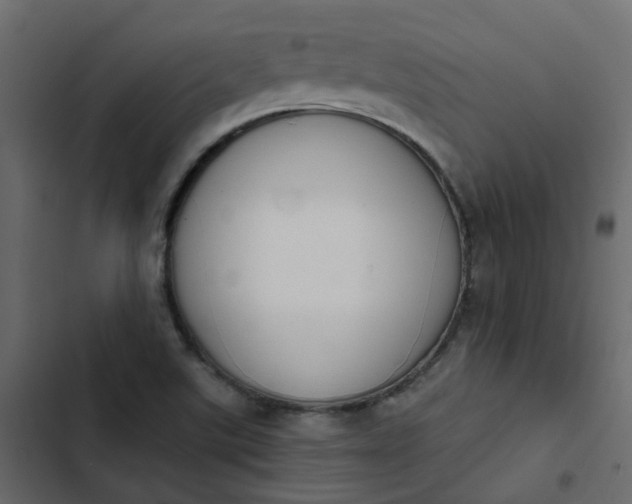 X0000102851507200809021348